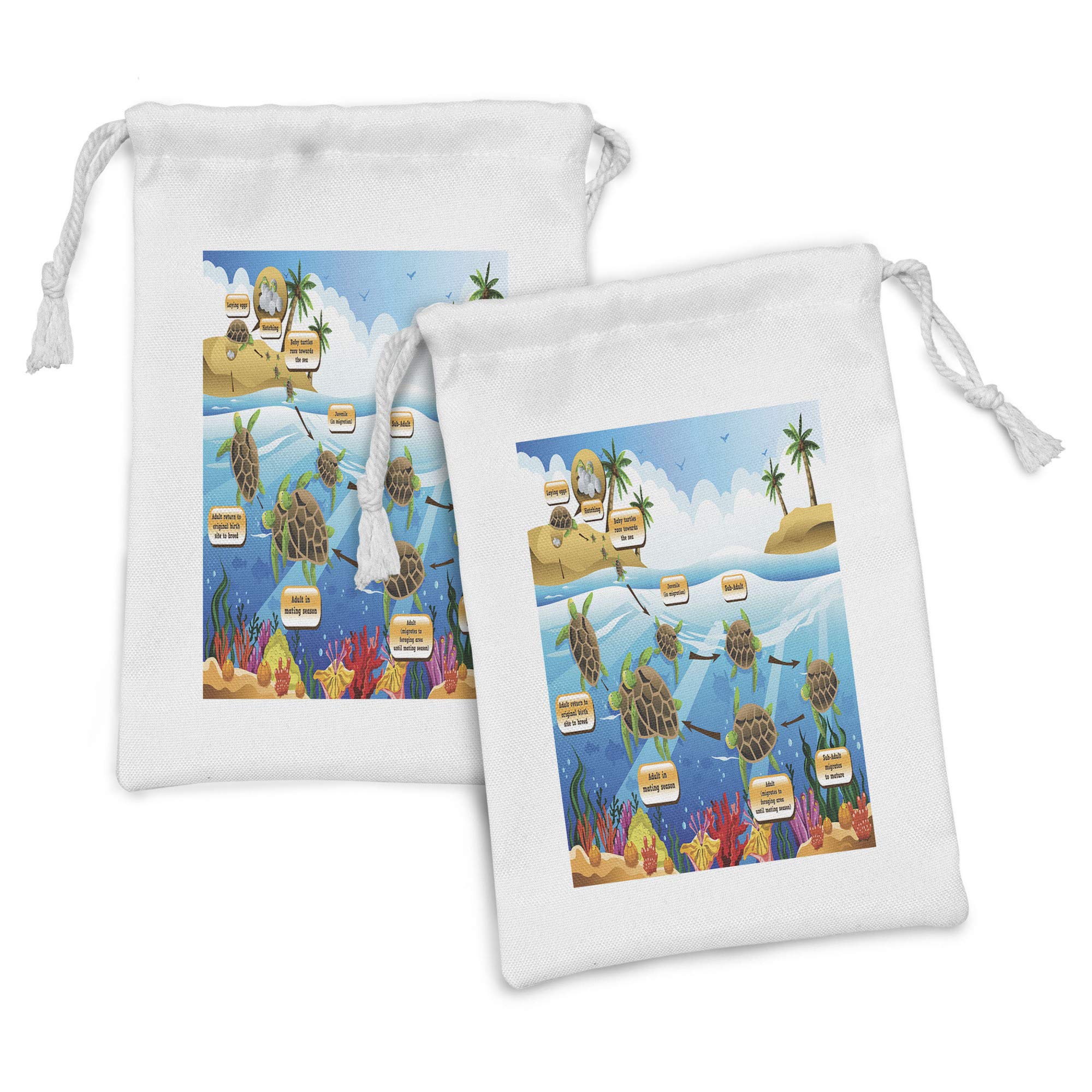 Ambesonne Biology Fabric Pouch Set of 2 - Biological Cartoon Sea Turtle Life Cycle Stages Drawstring Bags (9