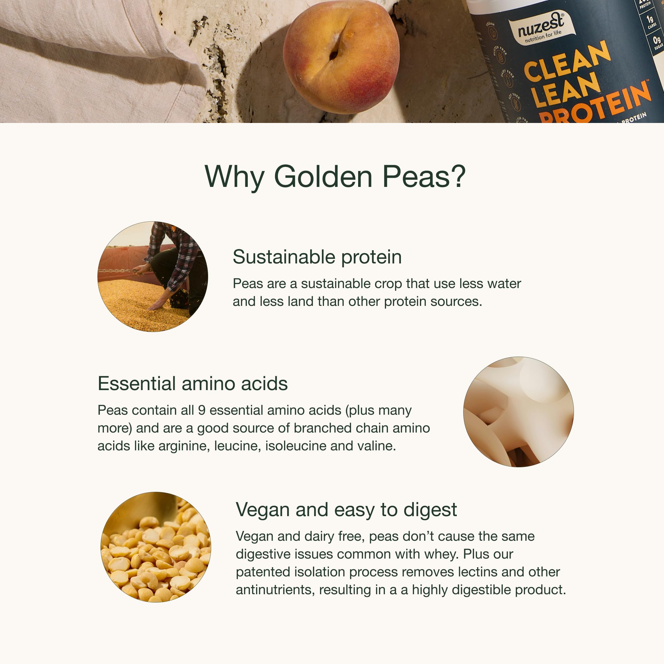Nuzest Premium Vegan Pea Protein Powder - Clean Lean Plant Based Protein, Dairy Free, Gluten Free, Non-GMO, Rich Chocolate Flavor (20 Servings, 1.1 lb) - Perfect for Post-Workout Recovery, Smoothies & Healthy Meal Replacement