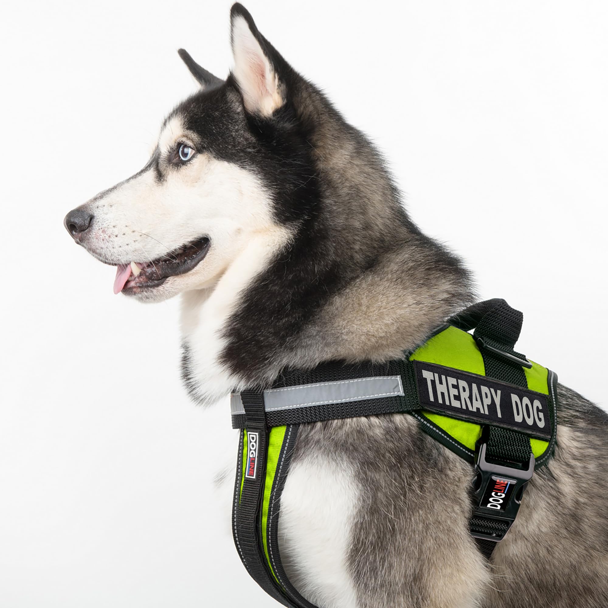 Premium Dogline Vest Harness for Large Dogs (28-38 Inch) with 2 Removable Therapy Patches - Adjustable Green Pet Harness for Service Dogs, Training & Outdoor Adventures
