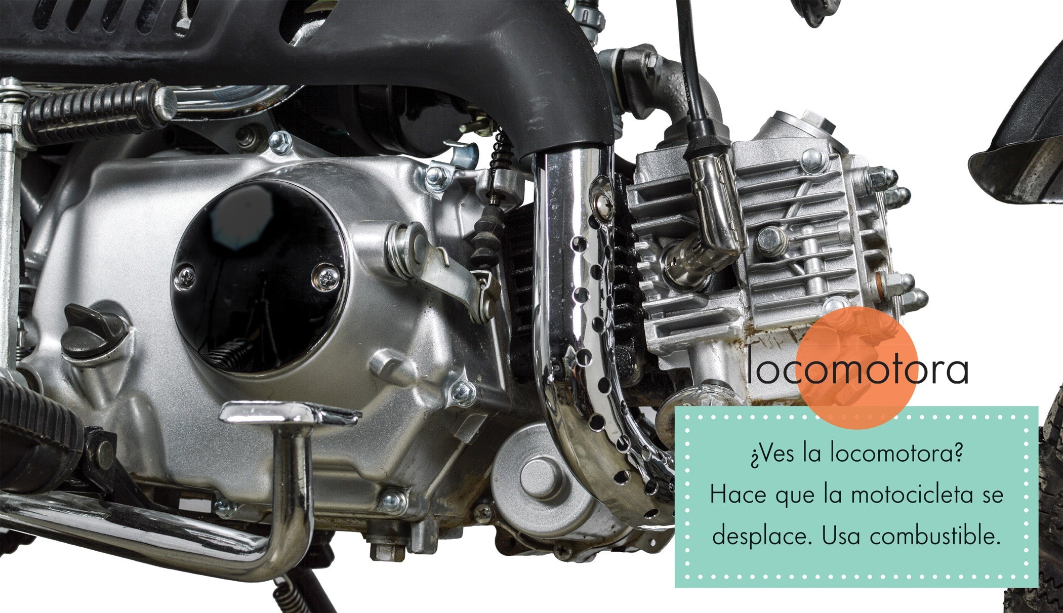 Best Motorcycles for Sale - Top Brands & Models for Street, Off-Road & Cruising | Perfect for Commuting, Adventure Riding & Weekend Getaways
