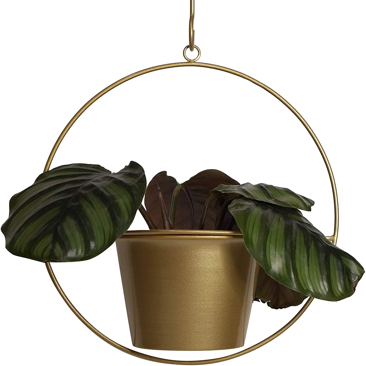 6 Inch Modern Metal Hanging Planter - Indoor Wall Plant Hanger for Small Plants | Perfect for Home, Office, and Balcony Decor