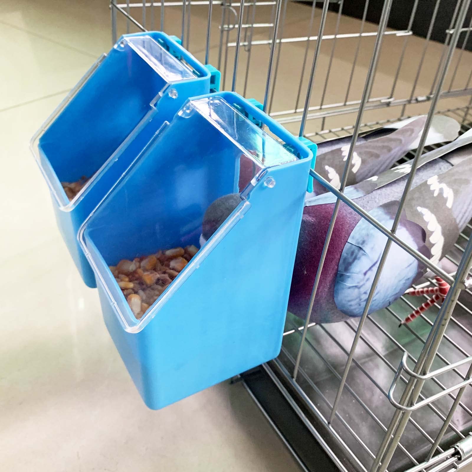 2 Pack Pigeon Feeder Water Dispenser with 2 Hole Pet Bowls - Automatic Bird Feeder for Quail, Chicken & Pet Birds - Perfect for Backyard, Coop & Aviary Use