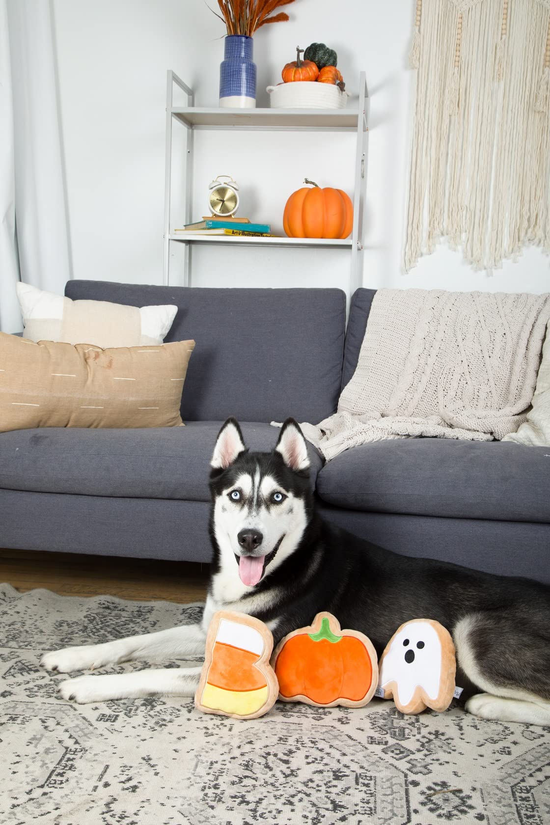Midlee Boo Sugar Cookie Halloween Plush Dog Toy - Large Stuffed Animal for Dogs, Cute & Soft Puppy Chew Toy | Perfect for Halloween Decor, Pet Gifts & Cuddling