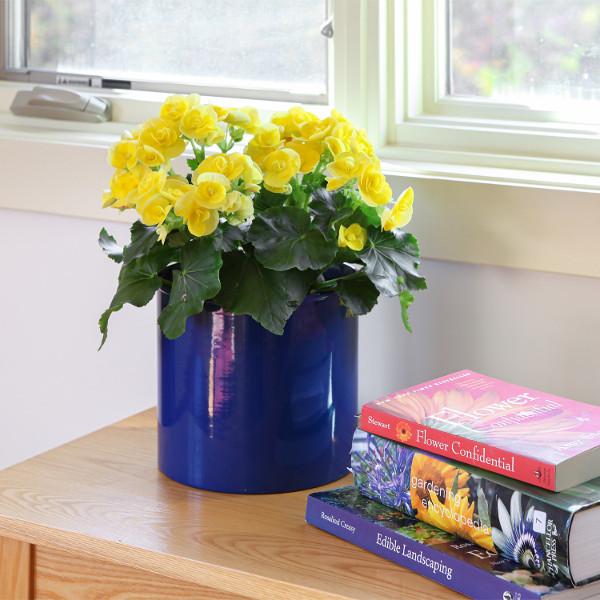 Eileen Planter with Steel Patina Pot - Modern Indoor/Outdoor Flower Pot for Home Decor, Office Plants & Garden Decorations