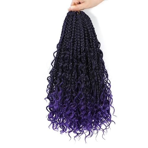 1B/Purple
