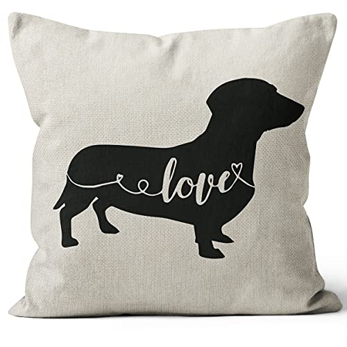 Dachshund