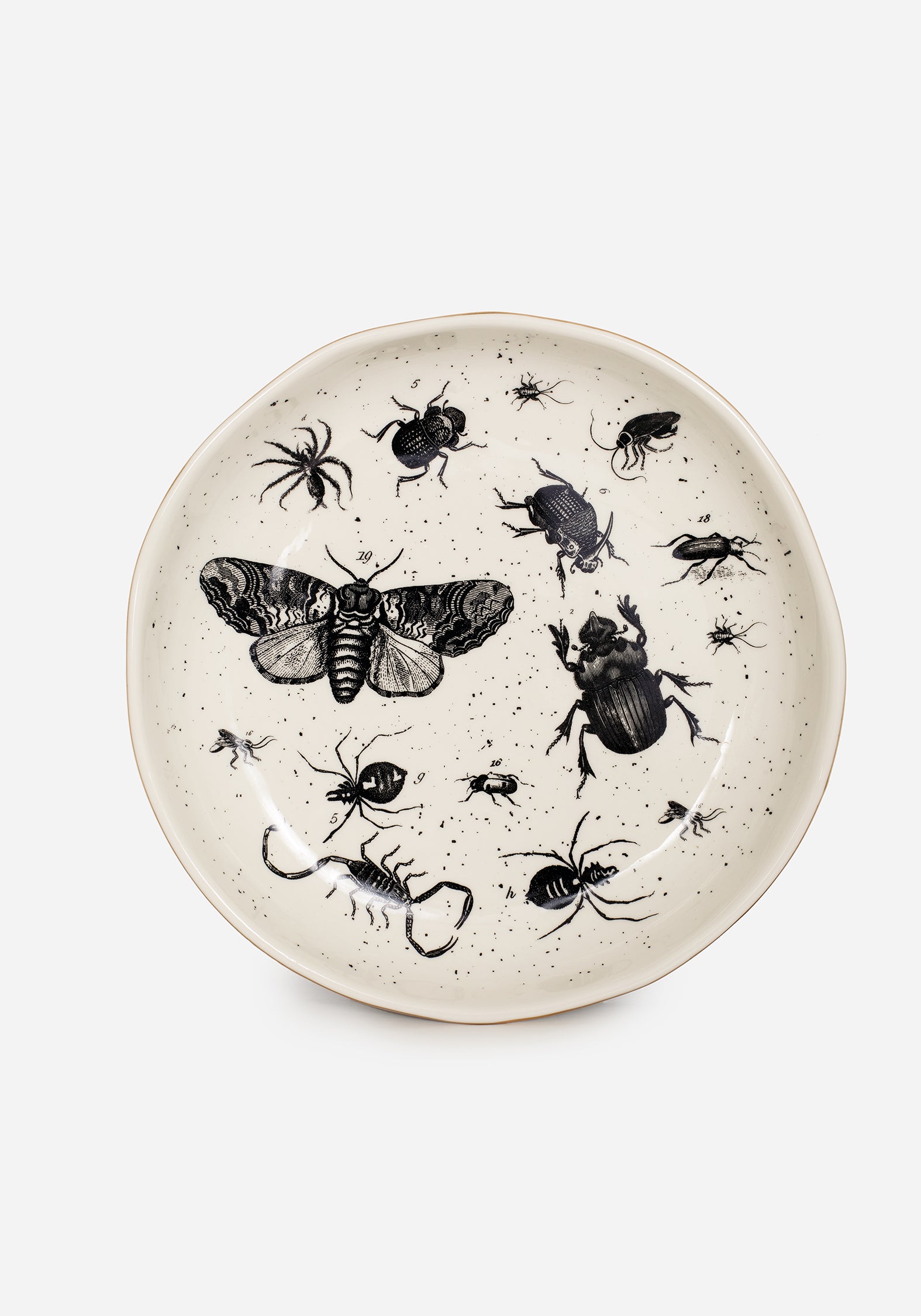Parasite Bugs Print Plate - Unique Insect-Themed Dinnerware for Halloween & Horror Parties - Perfect for Spooky Decor & Themed Events