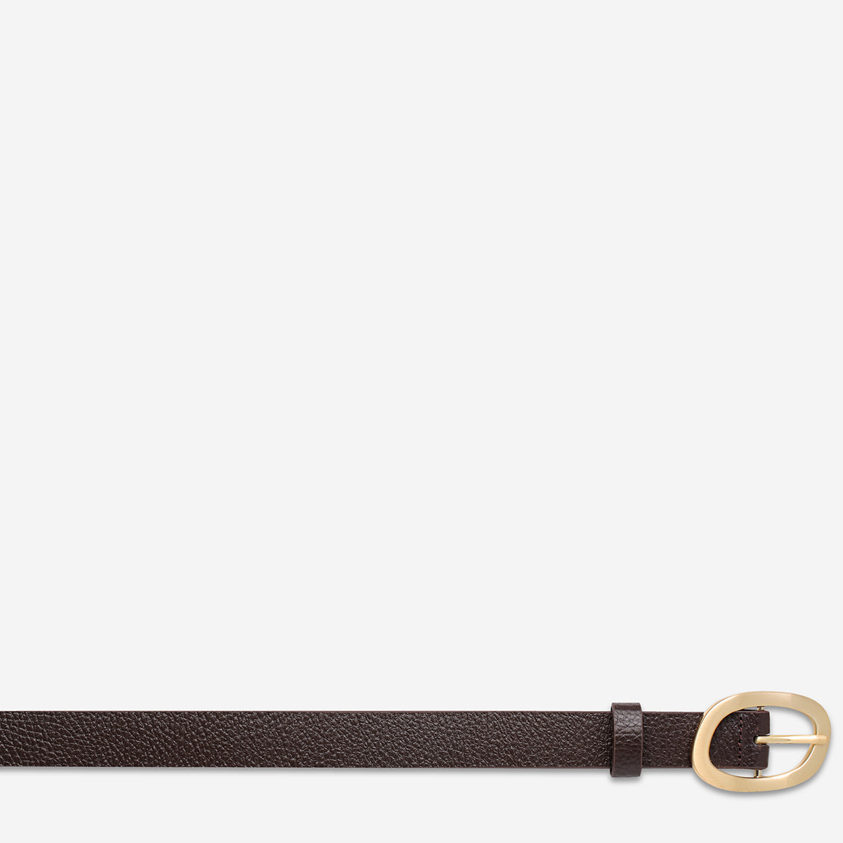 Nocturne Belt - Stylish Chocolate Brown & Gold Buckle for Men & Women | Perfect for Casual, Office & Formal Wear | Durable & Fashionable Accessory
