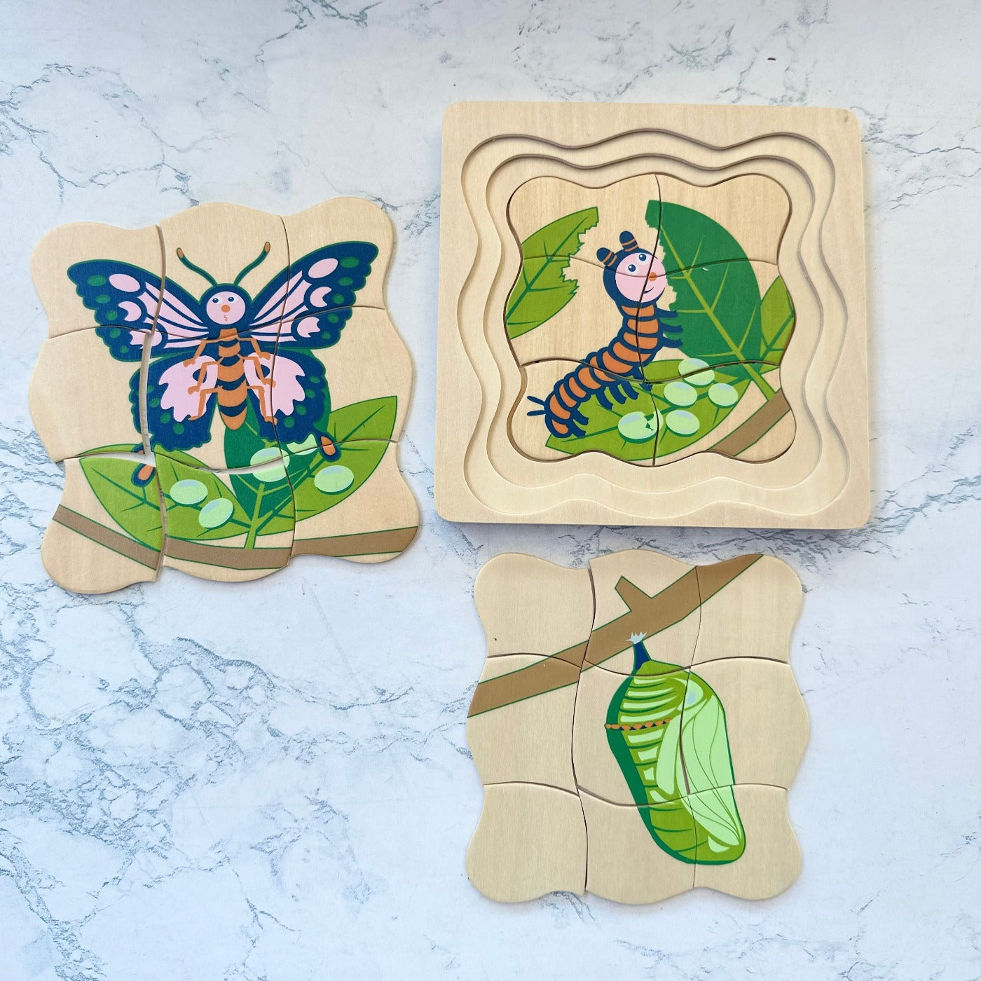 Timber Butterfly Life Cycle 4 Layer Wooden Puzzle - Educational Montessori Toy for Kids Learning & Home Decor