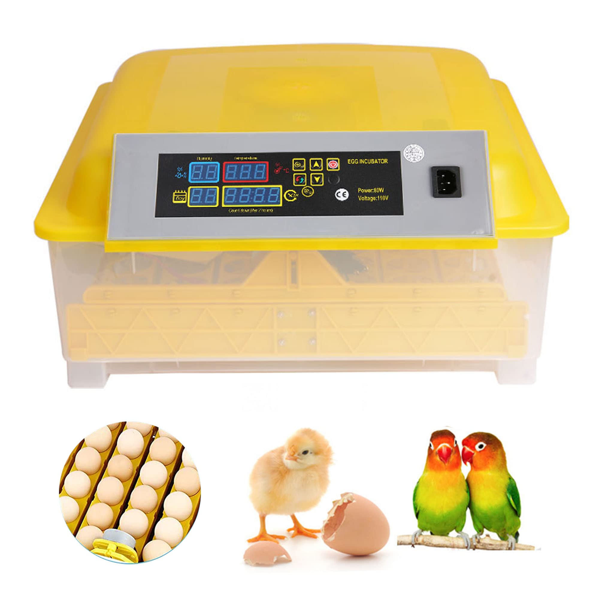 Aceshin 48 Egg Digital Poultry Incubator - Automatic Egg Turner with Temperature & Humidity Control, LED Display - Ideal for Hatching Chicken, Duck & Bird Eggs (Bright Yellow) | Perfect for Small Farms, Backyard Poultry & Educational Projects