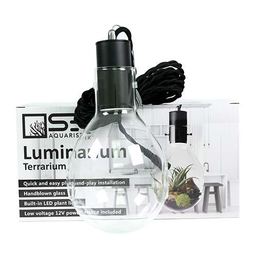 Luminarium Terrarium Kit with Décor & Stand - DIY Glass Garden for Home, Office, or Gift - Perfect for Succulents, Air Plants & Miniature Landscapes