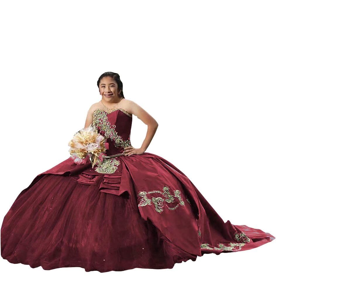 Gold Embroidered Beaded Quinceanera Dresses for Women | Plus Size Ball Gown Prom Sweet 16 Dress 2025 | Perfect for Quinceañera Celebrations, Prom Nights & Formal Events