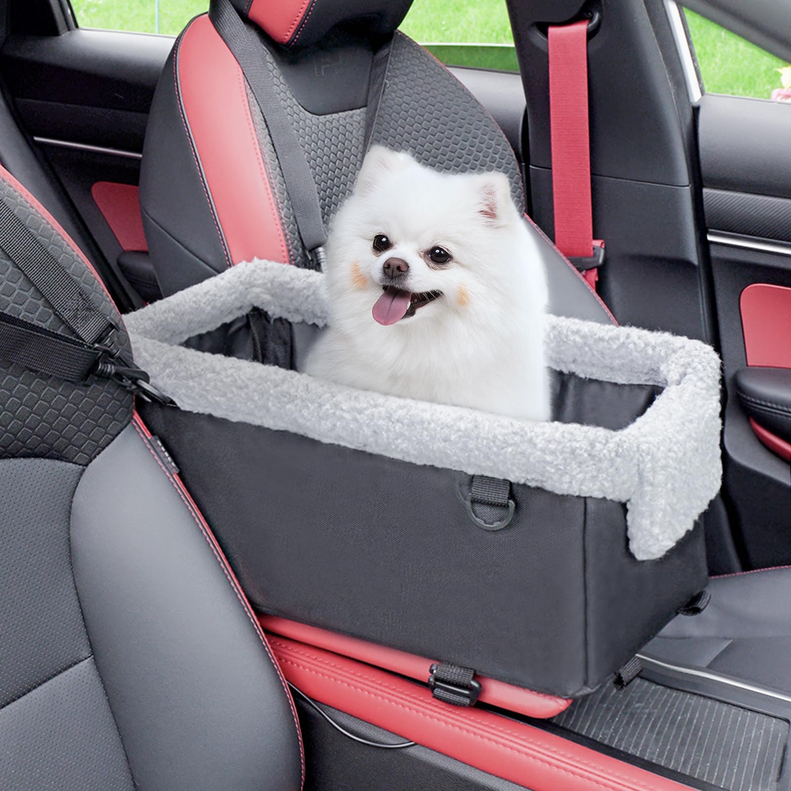 Small Dog Car Seat with Metal Frame - Raised Pet Booster Seat for Puppies & Cats | Safe Travel for Small Pets in Cars, SUVs & Road Trips