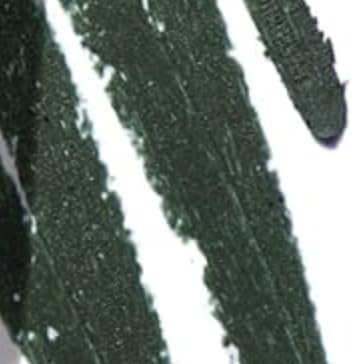 Juniper Green