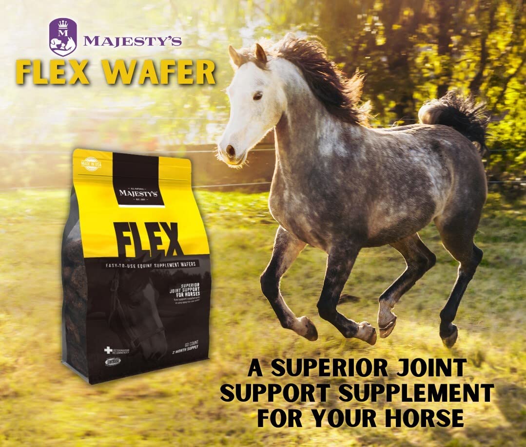 Majesty's Flex Wafers - Premium Horse Joint Supplement with Glucosamine, MSM, Chondroitin & Yucca - Supports Mobility & Comfort for Horses (2 Pack, 120 Count) - Ideal for Senior Horses & Active Equine Athletes