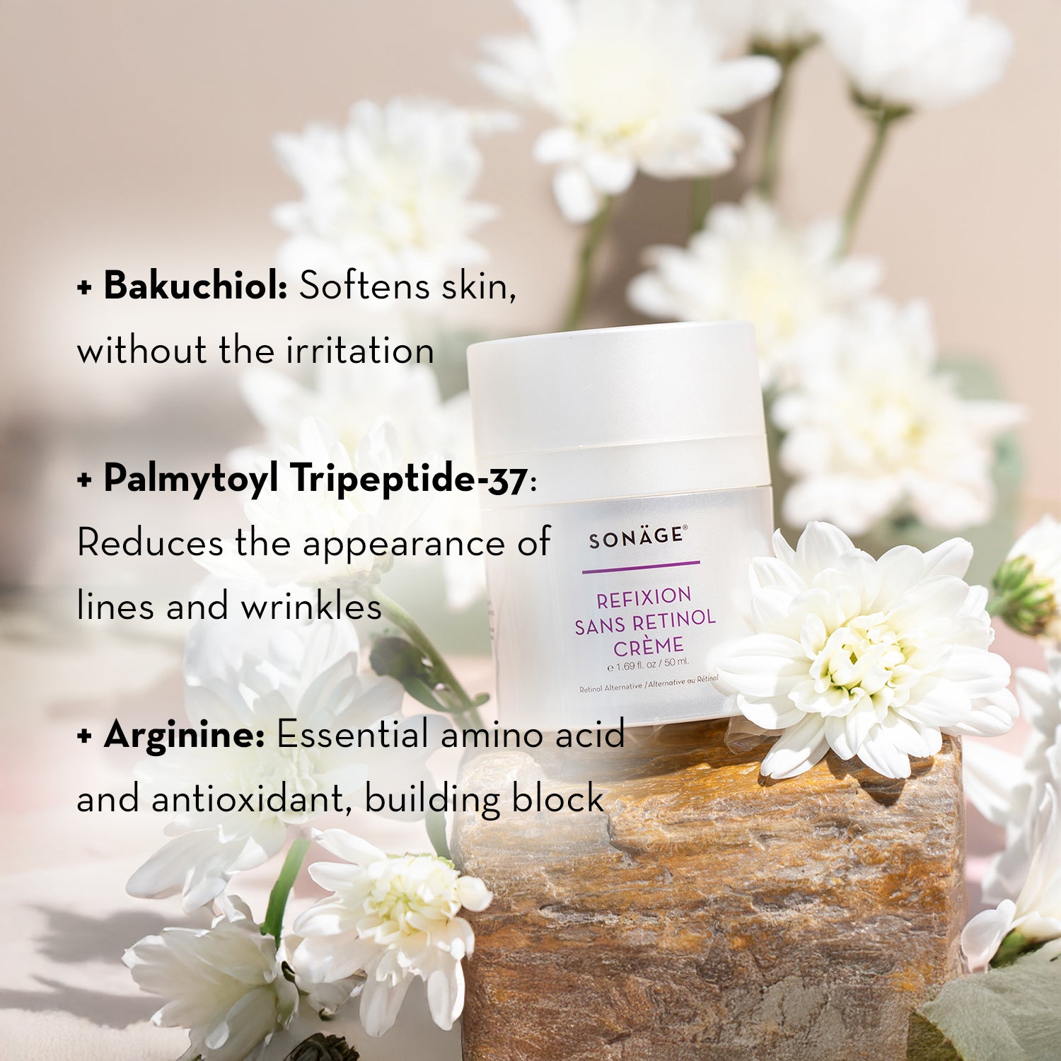 Refixion Retinol-Free Cream - Anti-Aging Face Moisturizer for Sensitive Skin | Hydrating & Soothing Night Cream for Dry Skin Care Routine