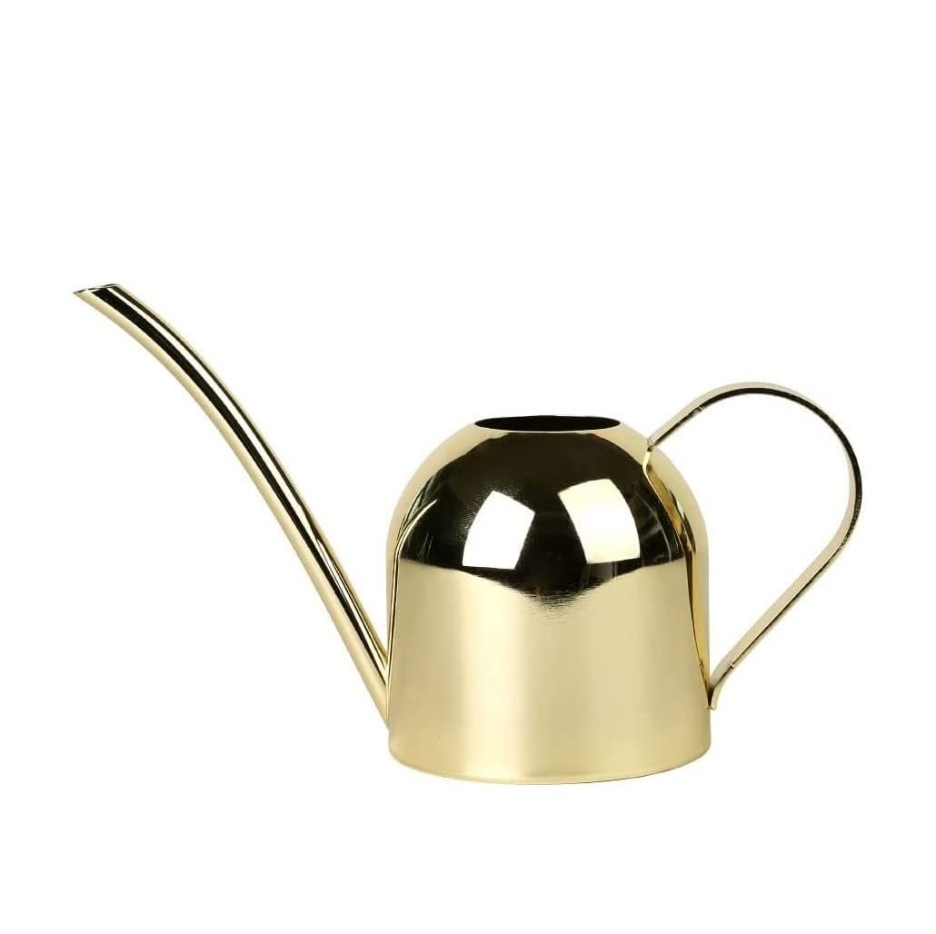 Stainless Steel Watering Can for Indoor Plants - Small Garden Watering Pot with Spray Bottle for Home, Office, and Garden Use - Perfect for Houseplants, Flowers, and Succulents