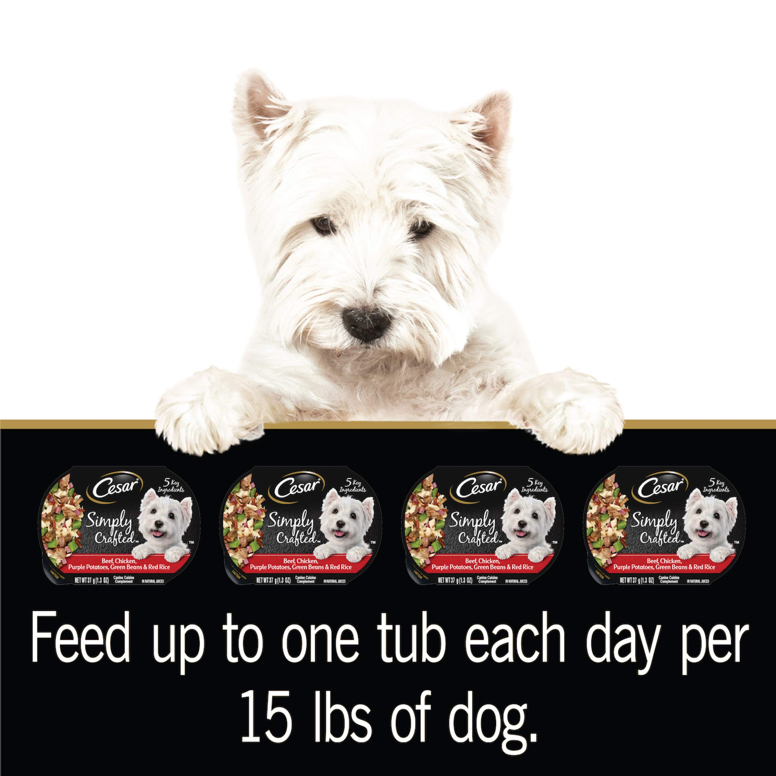 CESAR SIMPLY CRAFTED Adult Soft Wet Dog Food Meal Topper - Beef & Chicken Recipe with Purple Potatoes, Green Beans & Red Rice - 1.3 oz Tubs (Pack of 10) - Perfect for Picky Eaters & Senior Dogs