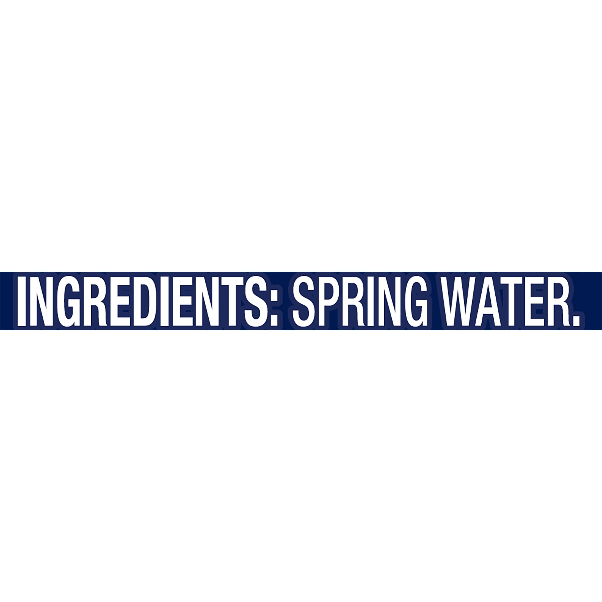 Poland Spring 100% Natural Spring Water, 16.9 fl oz Bottles (24 Pack) - BPA Free, Non-Deposit, Pure Hydration for Home, Office, Gym & Outdoor Activities