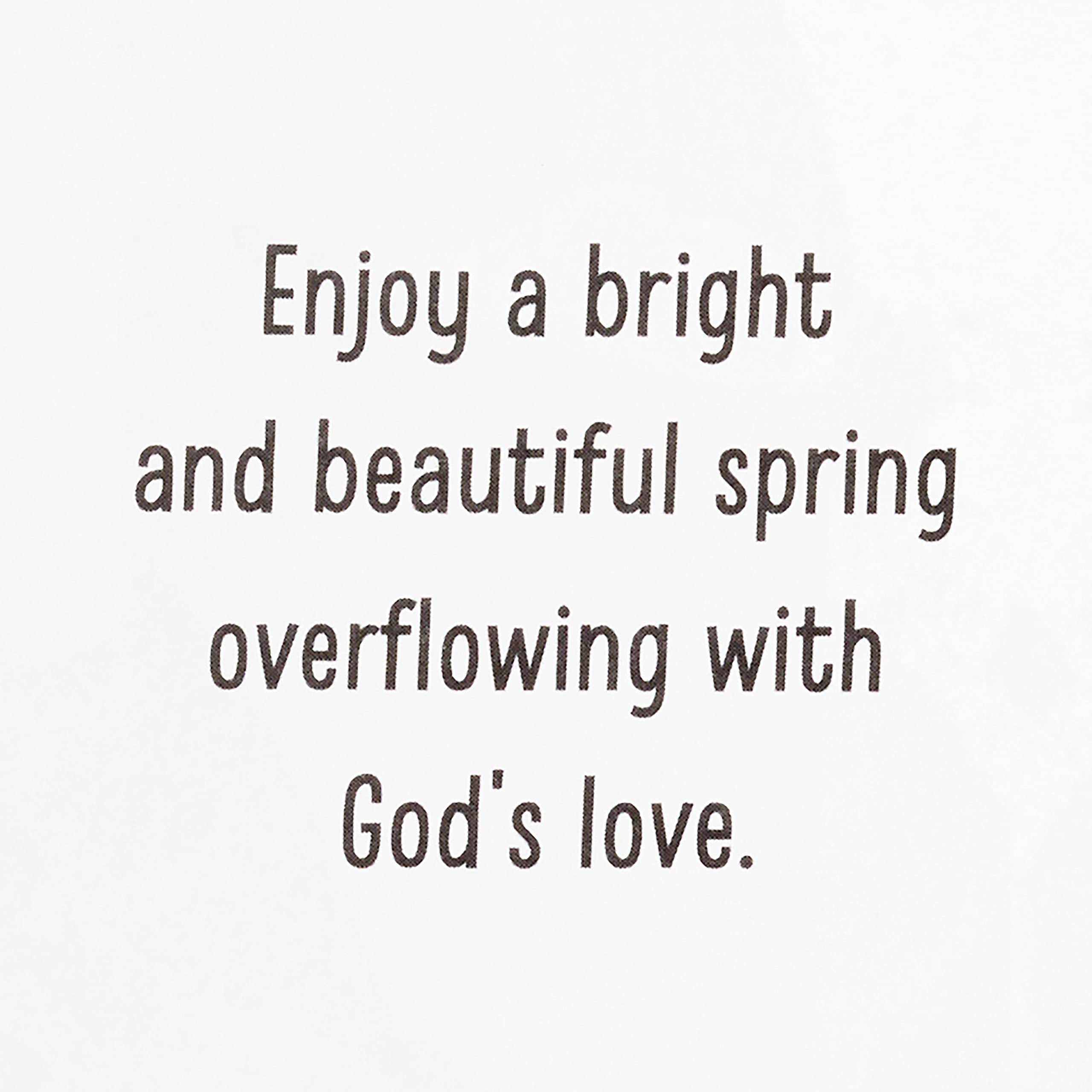 Religious Easter Cards by DaySpring - Pack of 8 Inspirational Blessing Cards with Envelopes for Christian Holiday Greetings, Church Events & Family Celebrations