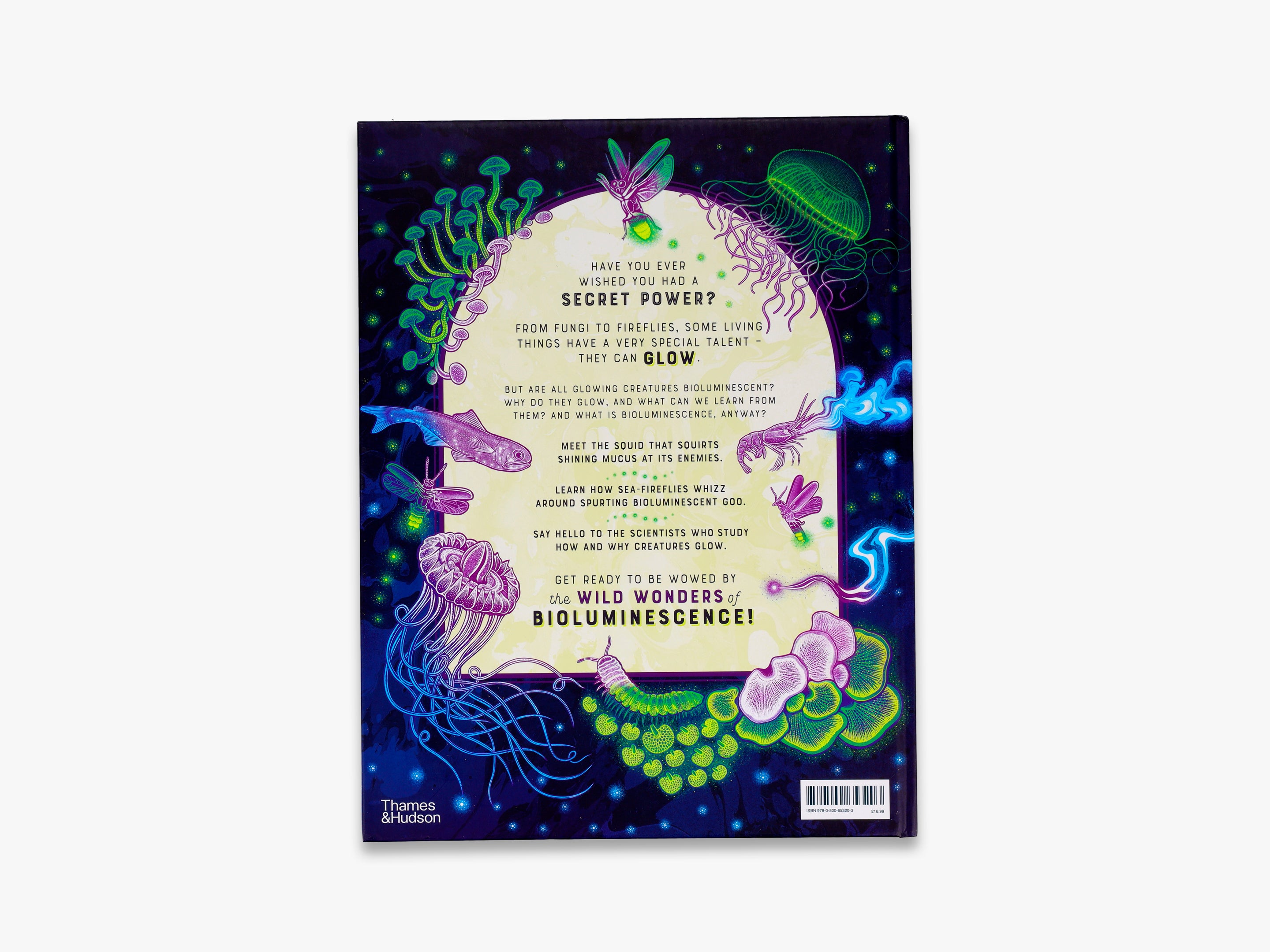 Glow (Wild Wonders) - Stunning Glow-in-the-Dark Decor for Kids' Rooms, Parties & Nighttime Adventures