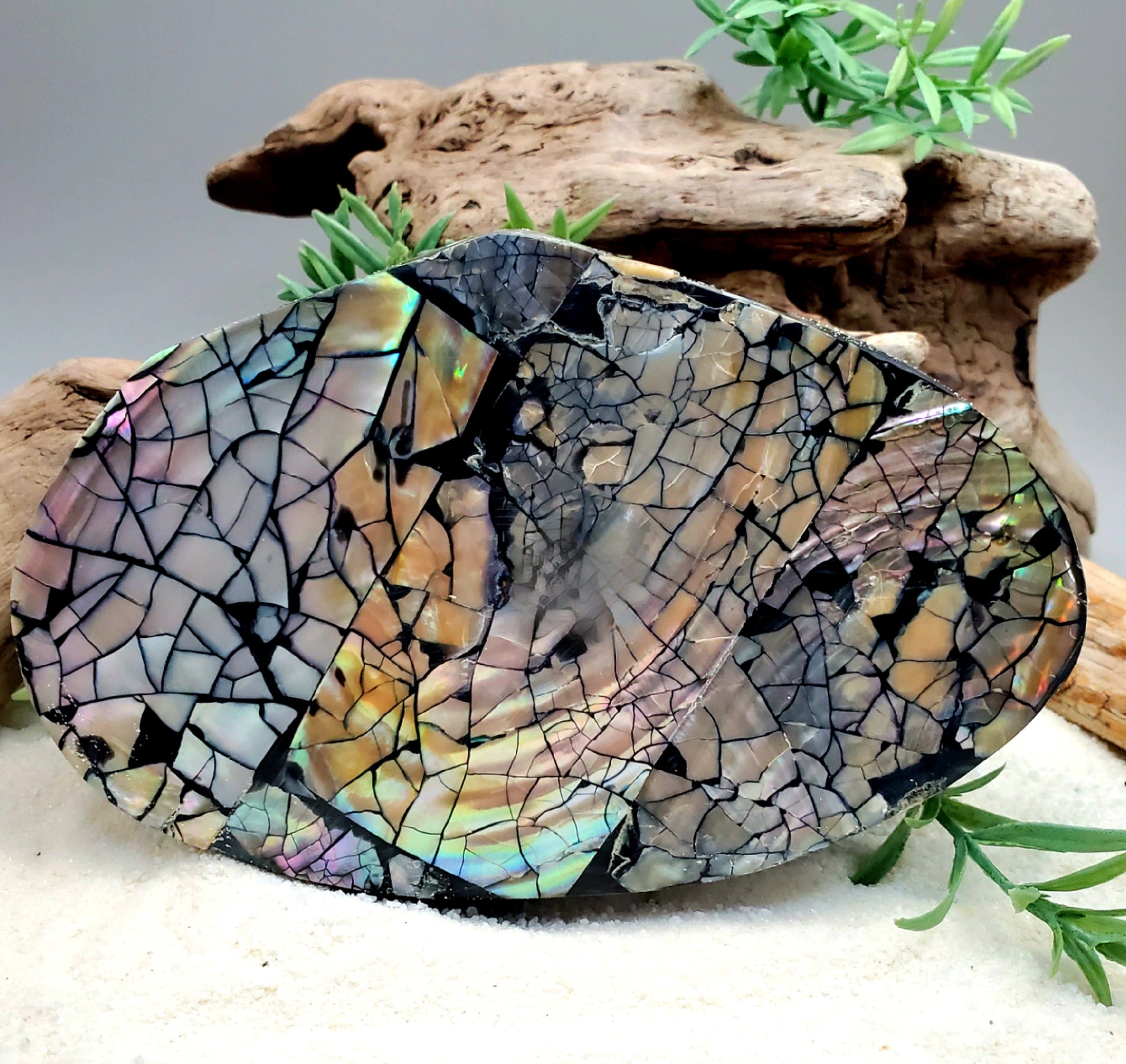 Handcrafted Abalone Shell Jewelry Box - Elegant Storage for Rings, Earrings & Necklaces - Perfect for Home Decor & Gift Giving