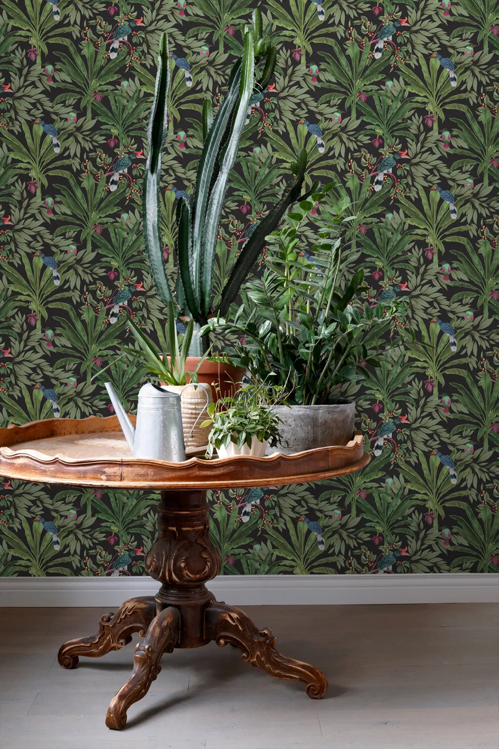Paradise Jungle Grove - Exotic Tropical Plants for Home & Garden Decor | Perfect for Indoor Greenery, Outdoor Landscaping & Zen Spaces