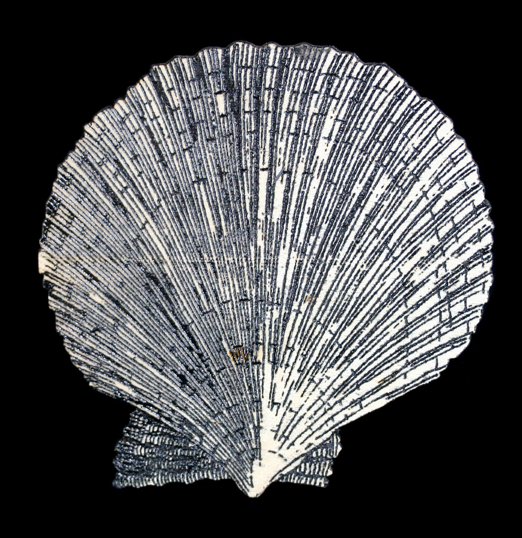 Handmade Birch Wood Scallop Shell Magnets - Natural Rustic Fridge Decor for Beach House, Kitchen & Office - Perfect for Photos, Notes & Memos