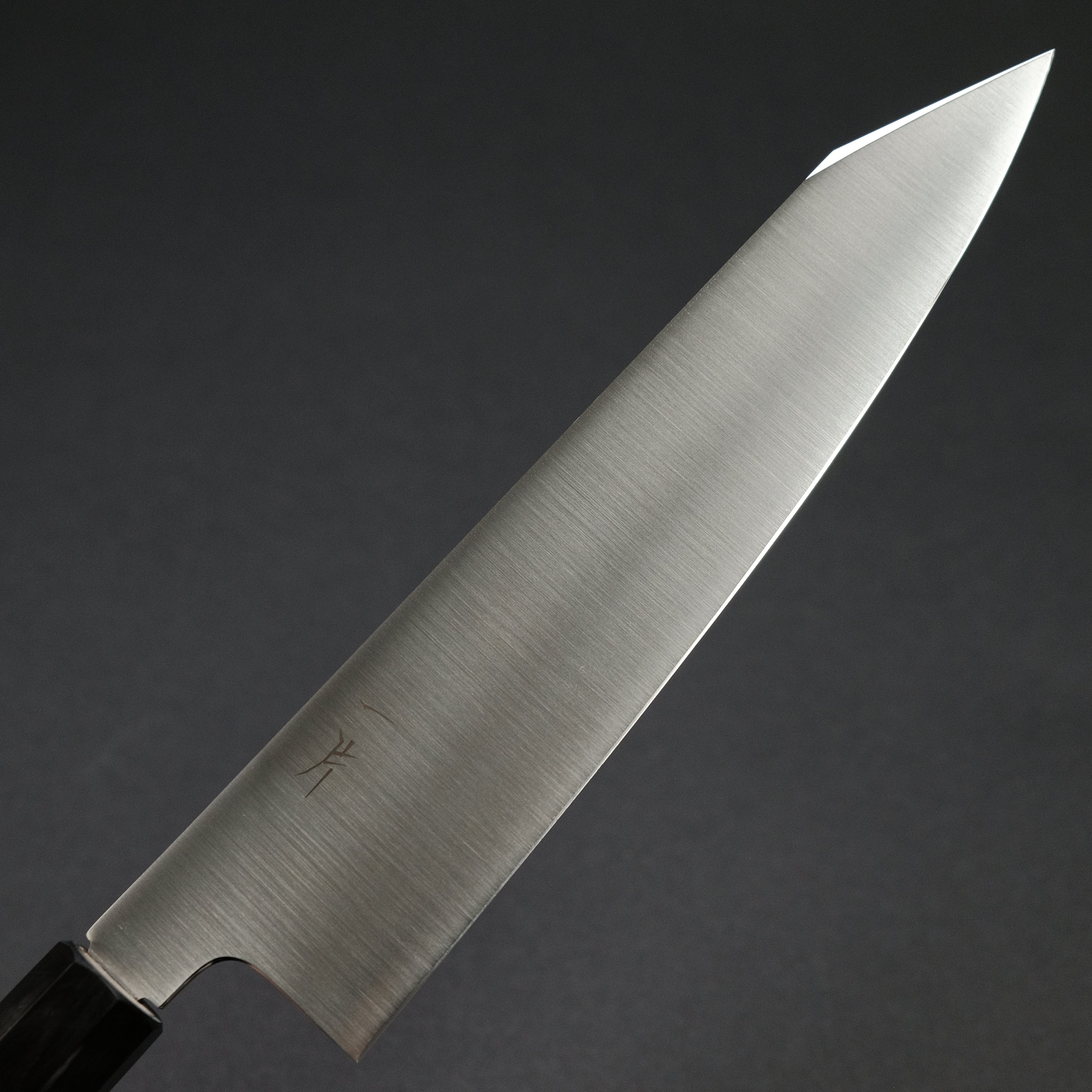 Hitohira FJ VG-10 Kiritsuke Gyuto Japanese Chef Knife 240mm - Premium Ho Wood Wa Handle - Perfect for Sushi, Sashimi & Precision Vegetable Cutting