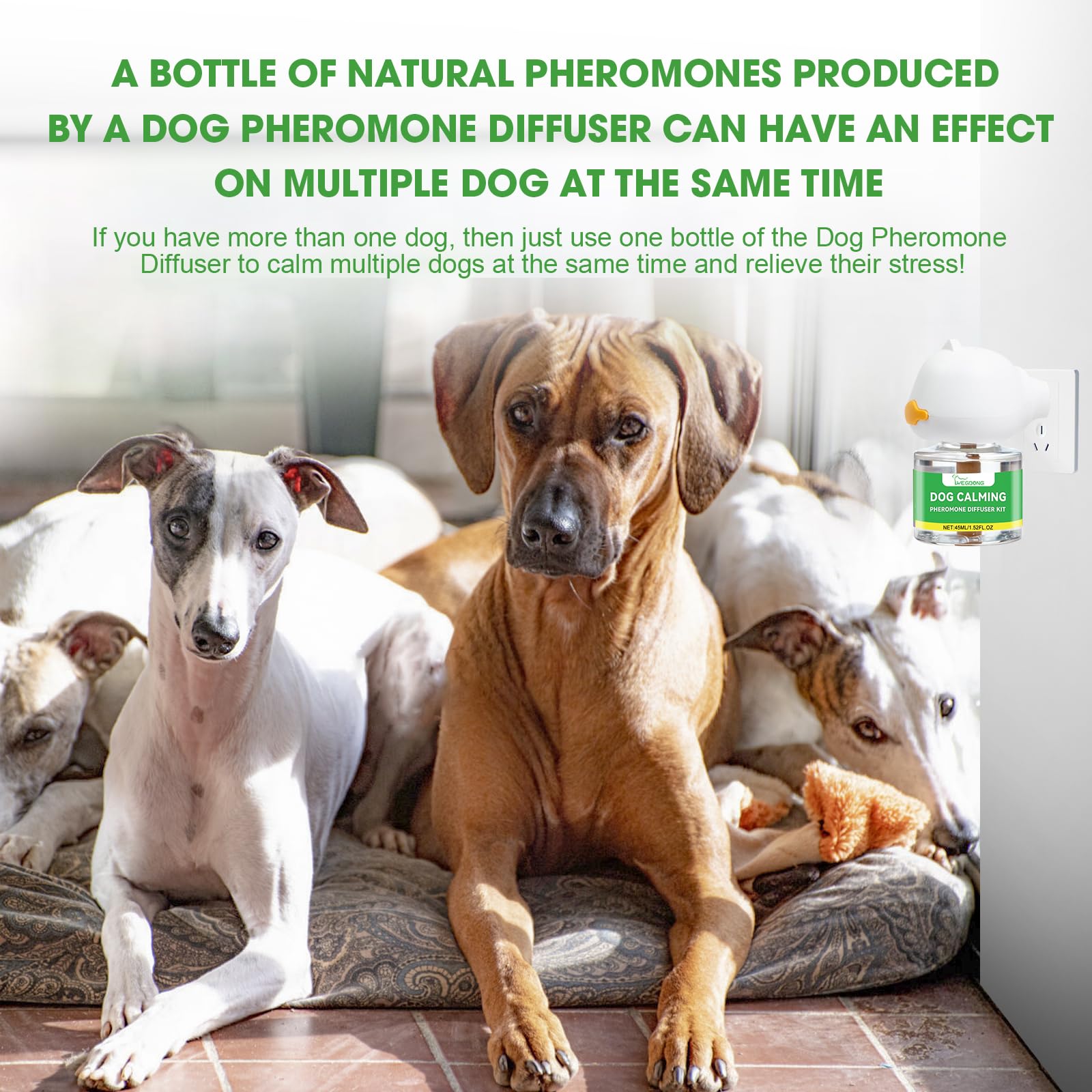 Nodfens Dog Calming Diffuser with Pheromones - 45ml Plug-in Anxiety Relief for Dogs, Lasts Up to 30 Days - Perfect for Thunderstorms, Fireworks, Separation Anxiety & Travel Stress