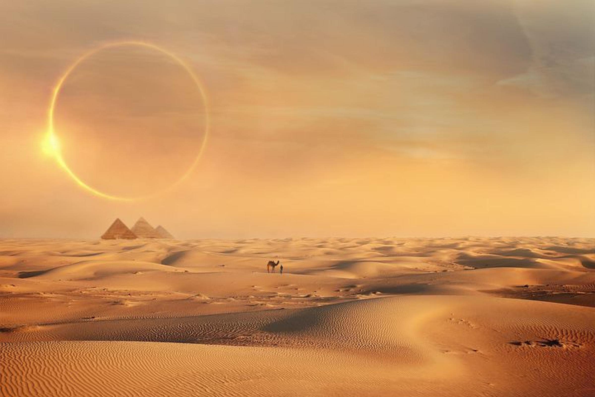 5D DIY Diamond Painting Kits for Adults - Desert Camel Canvas Art, Cross Stitch Embroidery Craft Kit for Home Wall Decor, Kids Gift, 80x100cm Round Drill - Perfect for Stress Relief, Mindfulness & Creative Home Decoration