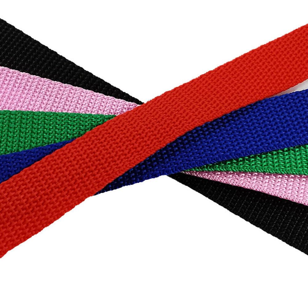 10 Feet Nylon Dog Leash for Small Medium Large Dogs - Durable Puppy Training Lead for Obedience Recall, Walking, Camping & Outdoor Adventures (Black)