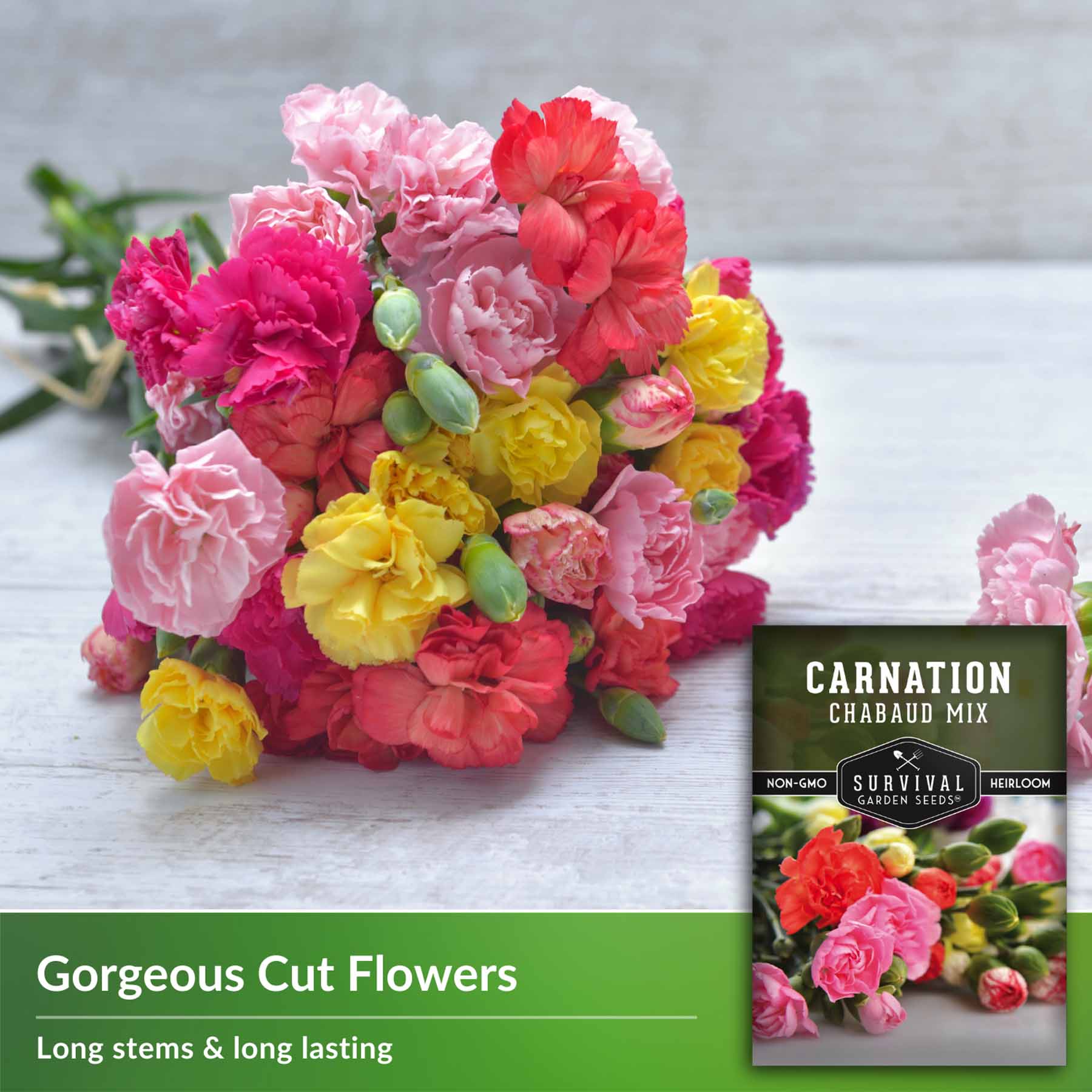 Chabaud Mix Carnation Seeds - Dianthus Caryophyllus Flower Seeds for Garden, Bouquets & Landscaping | Fragrant Cut Flowers for Home Decor & Wedding Arrangements