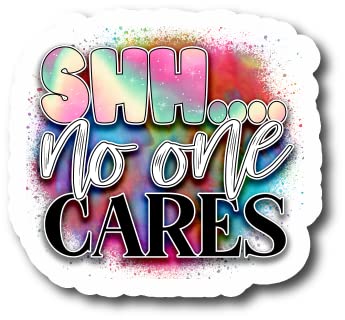 Funny 'Shh... No One Cares' Decal Stickers - 2 Pack 5 Inch Vinyl Stickers for Laptops, Water Bottles & Cars - Perfect Sarcastic Gift for Friends & Office Humor