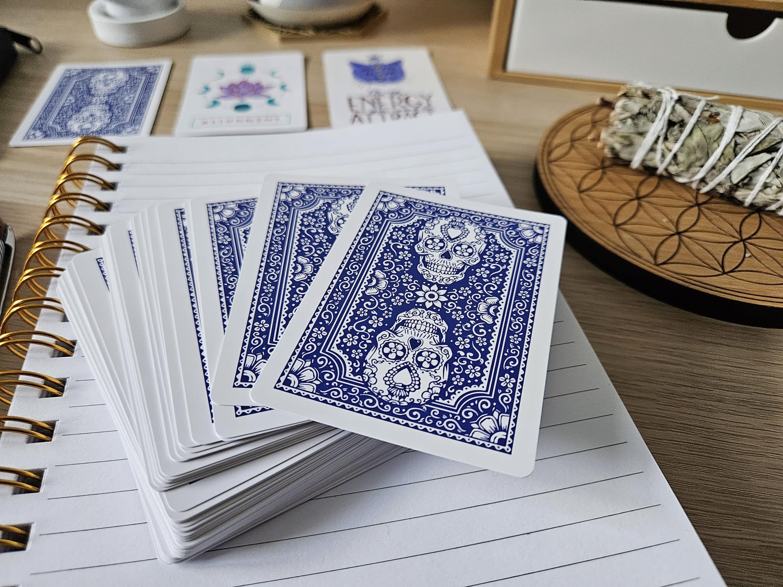 Blank Playing Cards with Skull Back Design - 2 Boxes (120 Total Cards) 2.5