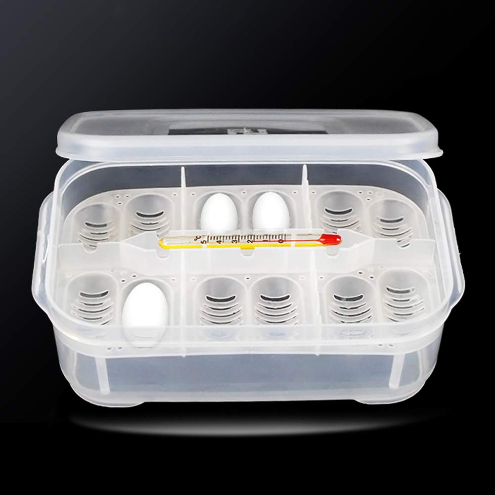 OMEM Reptile Breeding Box - Transparent Reptile Egg Incubator with Thermometer for Hatching Gecko, Lizards, Lion's Mane & Other Reptiles | Perfect for Home Breeding, Pet Store & Classroom Science Projects