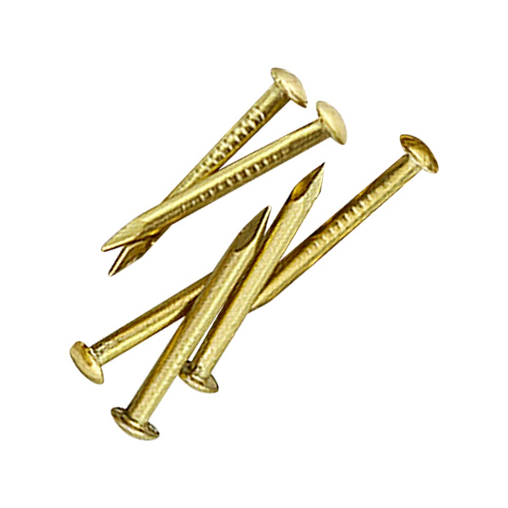 Decorative Round Head Brass Pins - 197-1819 Pcs for Wall Hanging, Wood Fixing & Picture Frames | Gold Craft Nails for DIY Projects, Art Display & Home Decor