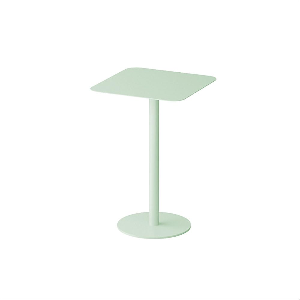 MIINO Modern Square End Table - 16