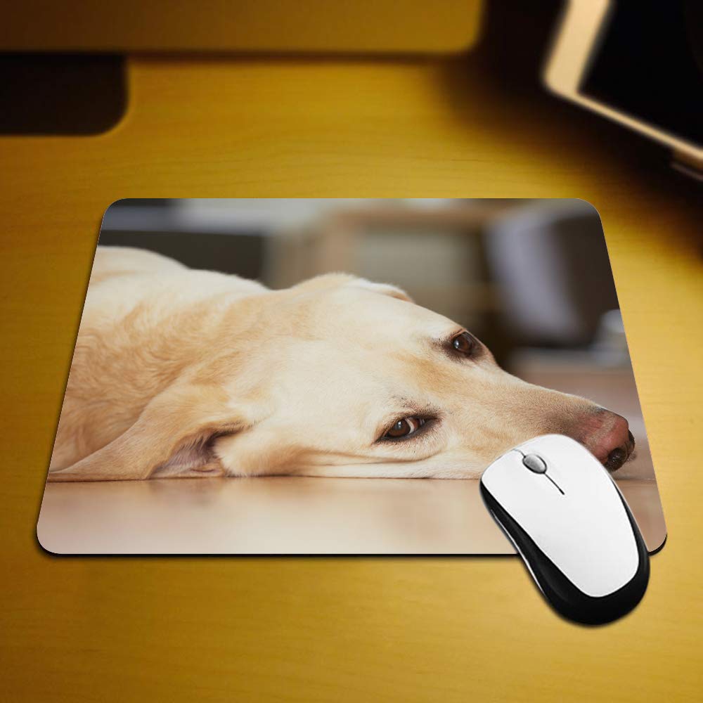 Yellow Labrador Retriever Gaming Mouse Pad - Non-Slip Rubber Computer Mousepad for PC, Laptop, Office & Home Use - 9.5x7.9 Inch Rectangle Personalized Desk Accessory - Perfect for Gamers, Workstations & Pet Lovers