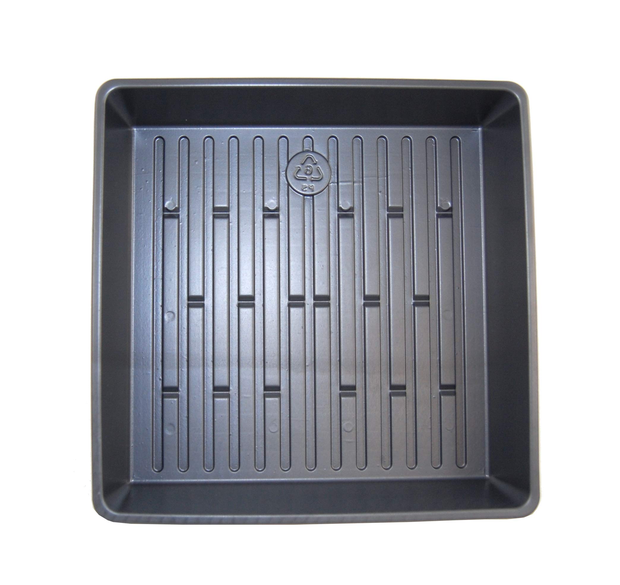 Organic Wheatgrass Growing Trays - 10 Pack, 10.5