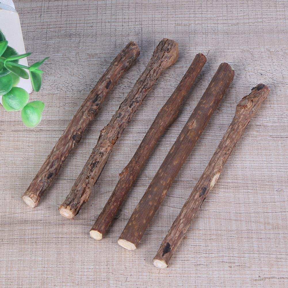 5 PCS Cat Teeth Grinding Chew Toys with Catnip - Dental Care Molar Snack Sticks for Kittens & Adult Cats - Perfect for Teething, Stress Relief and Playtime