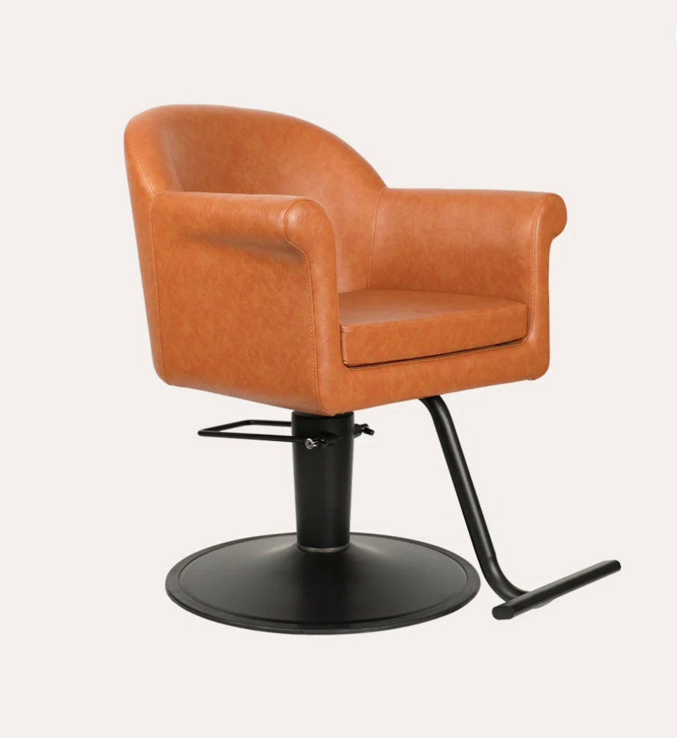 Premium Hudson Salon Chair - Professional Hydraulic Styling Chair for Hairdressers & Barbers - Heavy Duty Beauty Salon Furniture for Hair Cutting, Washing & Styling - Perfect for Salons, Barbershops & Home Use