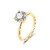 1CT Gold over Silver