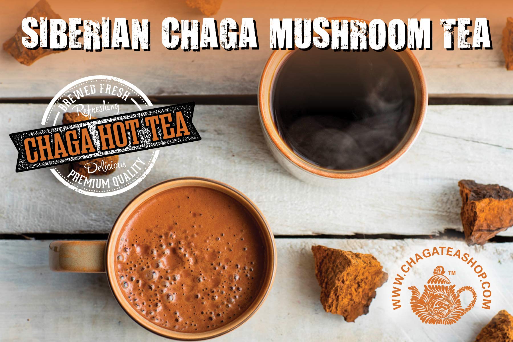 Organic Siberian Chaga Mushroom Extract Powder - 1 lb (453g) Immune Support Supplement - Antioxidant Rich Superfood for Tea, Coffee & Smoothies - Wild Harvested from Siberian Forests