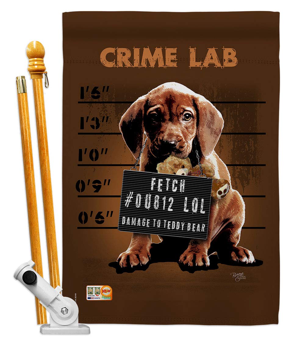 Crime Lab Nature Pets House Flag Set 28x40 with Flagpole - Outdoor Decor
