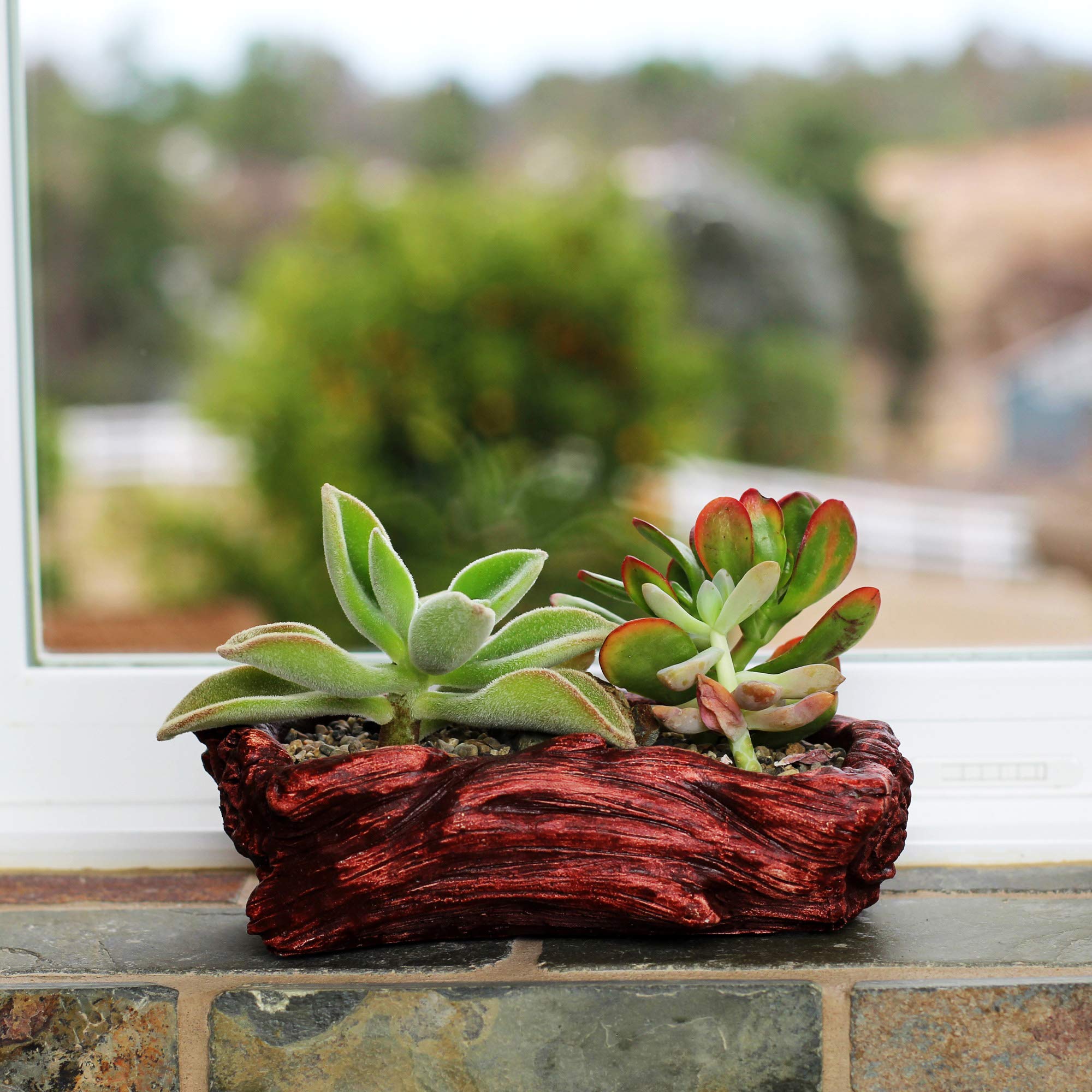 Ceramic Wood Plant Pot - Indoor Wood Planter for Succulents & Small Plants | Unique Log Planter with Redwood Whale Design | Perfect for Home Decor, Office Desk & Gift Giving