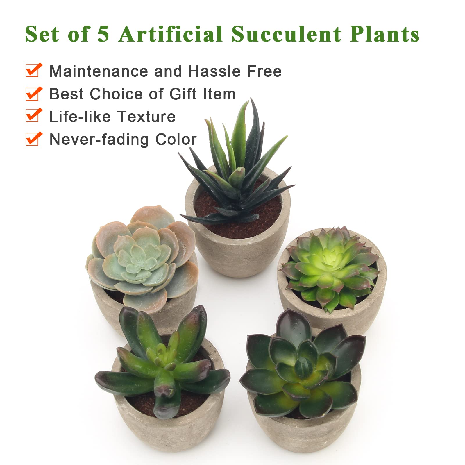 Coitak 5-Pack Artificial Succulent Plants in Pots - Realistic Fake Cactus & Succulents for Home Office Decor, Wedding Centerpieces, and Shelf Displays