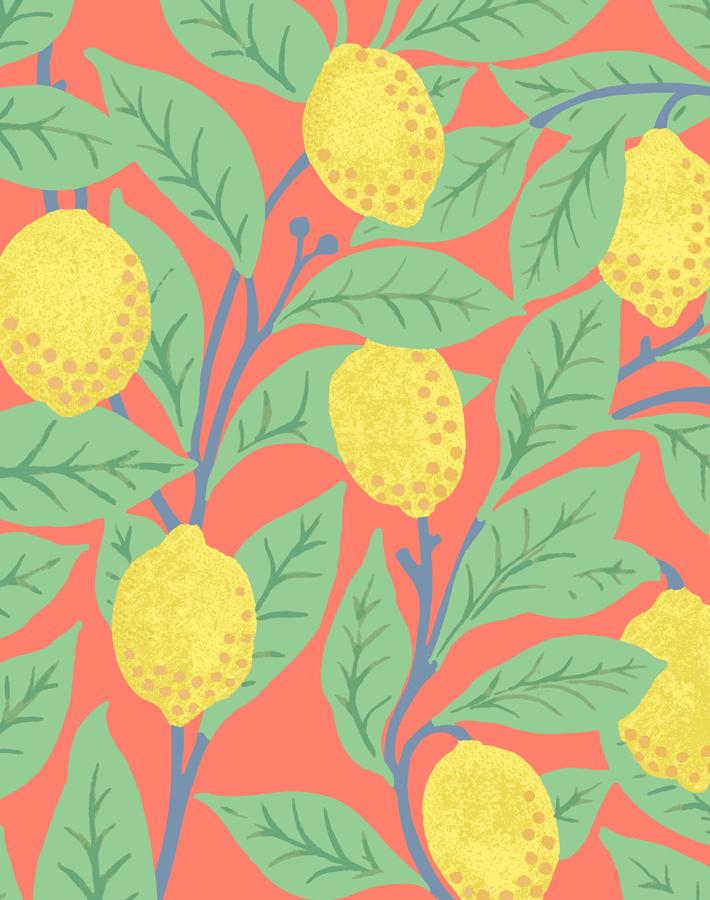 Lemons Wallpaper by Nathan Turner - Watermelon Print - Perfect for Kitchen, Bathroom & Nursery Decor