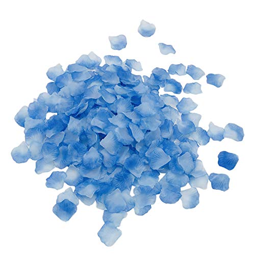 Light Blue Plus Dark Blue