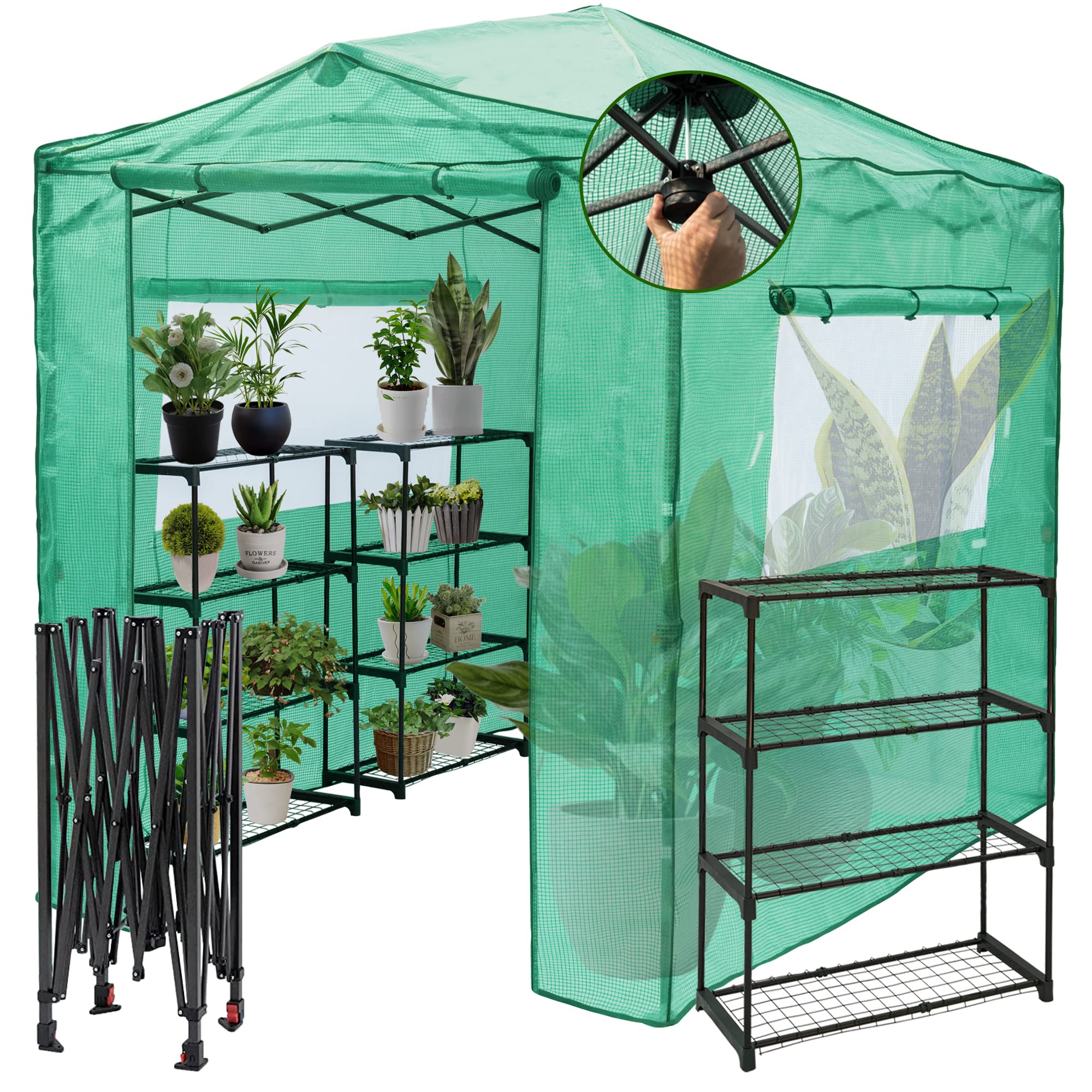 LAUREL CANYON 8' x 6' Portable Pop Up Greenhouse with 2 Shelves, 2 Windows & Roll-Up Door | Quick Setup Frame for Gardening, Seed Starting & Plant Protection | Perfect for Backyards, Patios & Small Farms